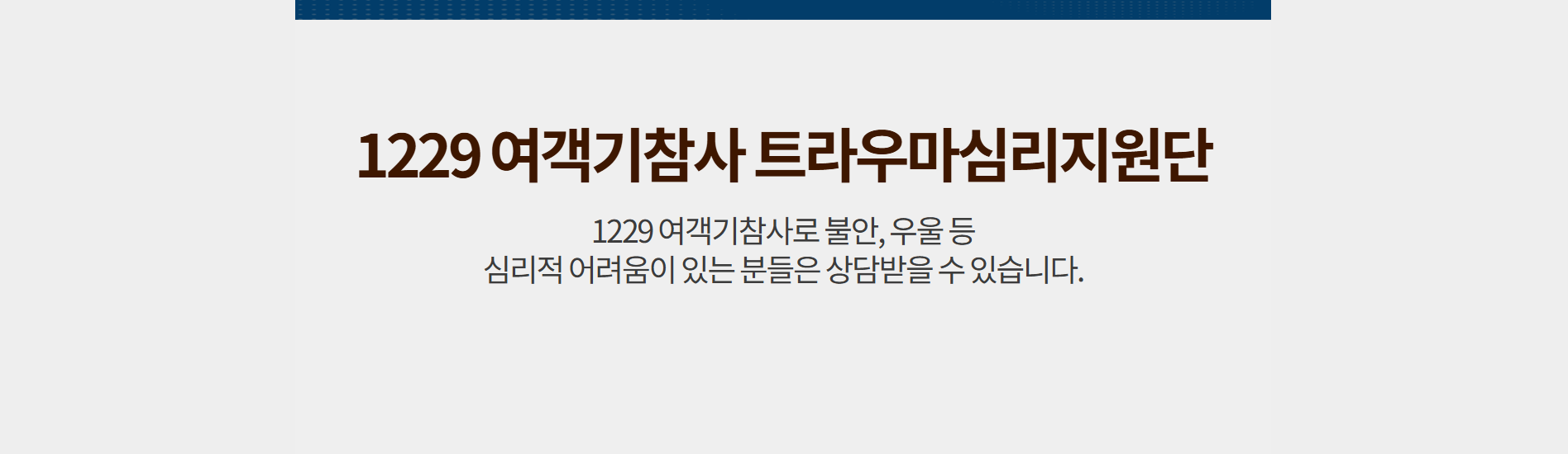 1229 여객기참사 트라우마심리지원단